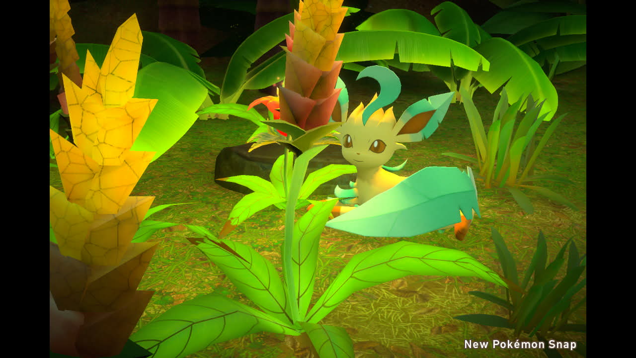 Mc reveives the Camera